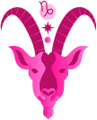 Signo Capricornio